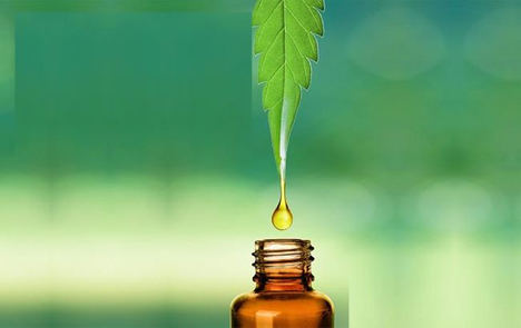 Los beneficios del aceite de Cannabidiol