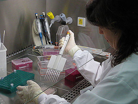 Investigan nuevas formas de evaluar la eficacia y toxicidad de los materiales antimicrobianos