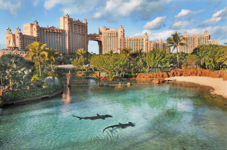 Temporada alta de los Greens en las Bahamas