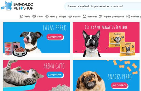 5 consejos para la convivencia entre perros y gatos