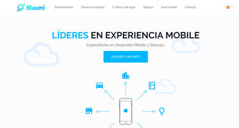 Bluumi, la startup que se convierte en modelo y referente para otras startup se inicia en el mentoring