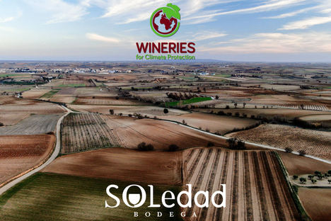Bodega Soledad, ejemplo de sostenibilidad y compromiso medioambiental