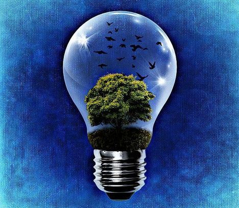 El consumo de energía eléctrica durante la pandemia