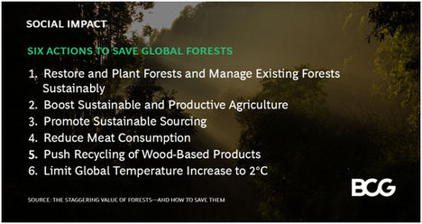 Los bosques del mundo están valorados en 150 B $, pero hay que actuar con rapidez y firmeza para evitar una pérdida de valor del 30% de aquí a 2050