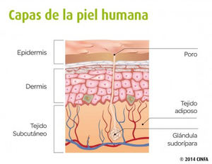 Claves para llegar al verano con una piel diez