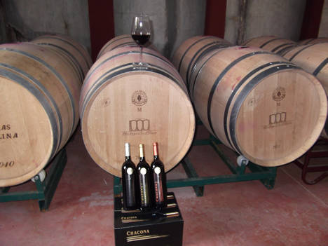 Bodegas la Pelina consigue 5 premios Mezquita de Córdoba