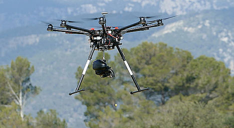 Big Data, drones y semillas inteligentes para reforestar las zonas devastadas por los incendios