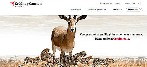 La mejora de las insolvencias se estanca en Alemania