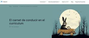 El carnet de conducir en el currículum