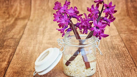 ¿Tienes un negocio de decoración? Atento, porque Instagram puede ayudarte