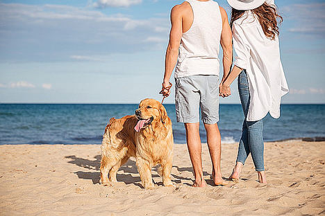 10 motivos por los que los viajes dog-friendly son una oportunidad para el turismo en España