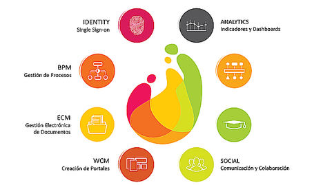 Aggity introduce en Europa una plataforma capaz de transformar digitalmente un negocio en tiempo récord