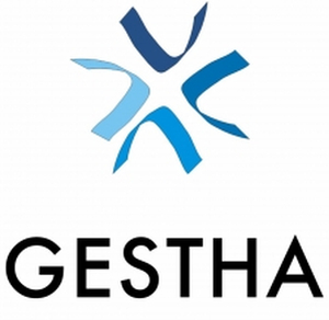 Gestha respalda el plan del Gobierno de vigilar más la tributación de las grandes empresas y fortunas
