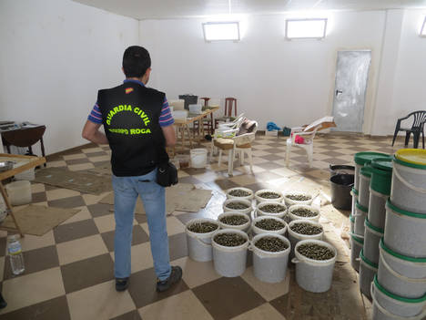 Operación de la Guardia Civil y la Inspección de Trabajo y Seguridad Social contra la contratación ilegal de trabajadores