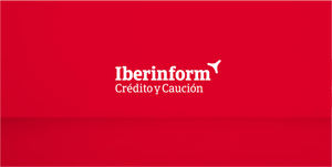 Iberinform lanza 52 API para apoyar la digitalización empresarial