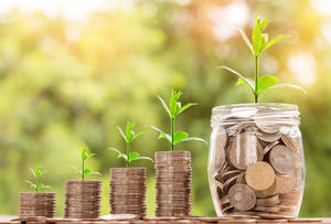 Tener los ahorros seguros y cómo gestionar las ganancias