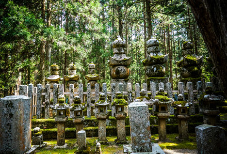 Viaja en el tiempo en Japón alojándote en templos y castillos históricos