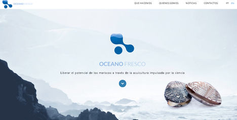 Oceano Fresco, financia a través del crowdlending el primer vivero sostenible de almejas en alta mar del mundo