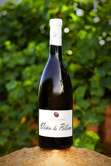 Bodegas La Pelina saca al mercado la nueva añada de su Verdejo del Pizarral y del Semidulce