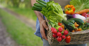 Crece en España un 55% el ecommerce de productos gourmet