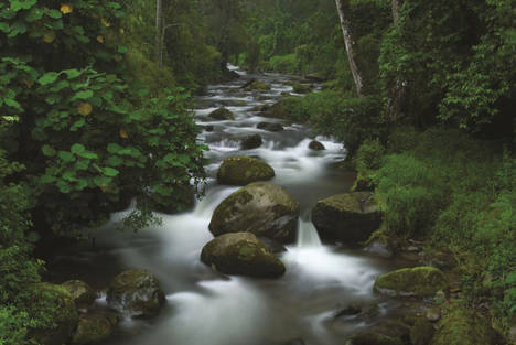 Rio Savegre