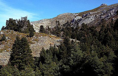 Aprobada la nueva planificación de la Sierra de las Nieves
