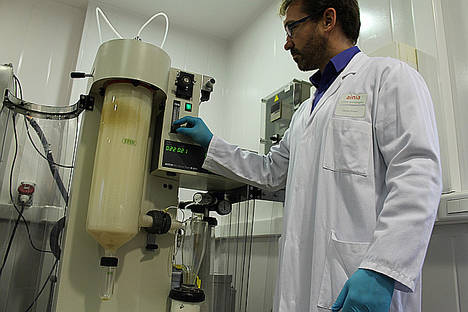 El limoneno, clavo y tomillo microencapsulados, de interés para alimentación, calzado y plástico