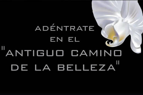 Templo del Masaje presenta un ciclo de microvídeos sobre cuidados y trucos de belleza en Facebook y YouTube