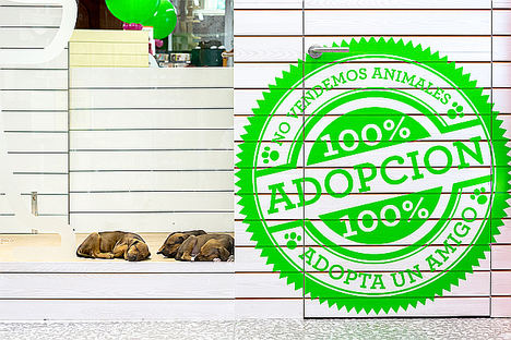 Tiendanimal crece un 25% tras facturar 90 millones en 2018