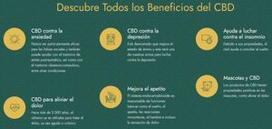 ¿Cuáles son los beneficios del aceite de CBD para la salud?