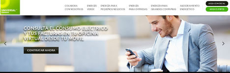 Actores en el sector de la energía eléctrica