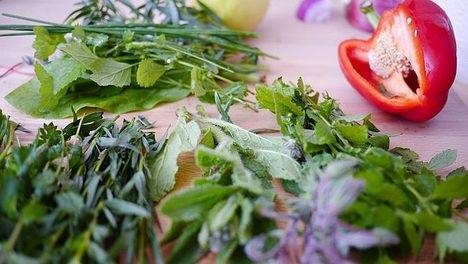 Nace Farmidable, de la huerta a la mesa pasando por el colegio