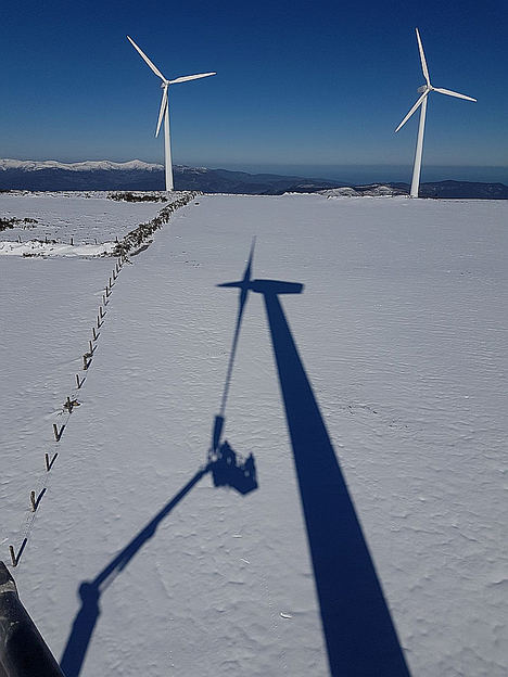 Viesgo centra su negocio en la distribución eléctrica, las energías renovables y la generación eficiente
