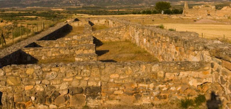 Recoópolis yacimiento